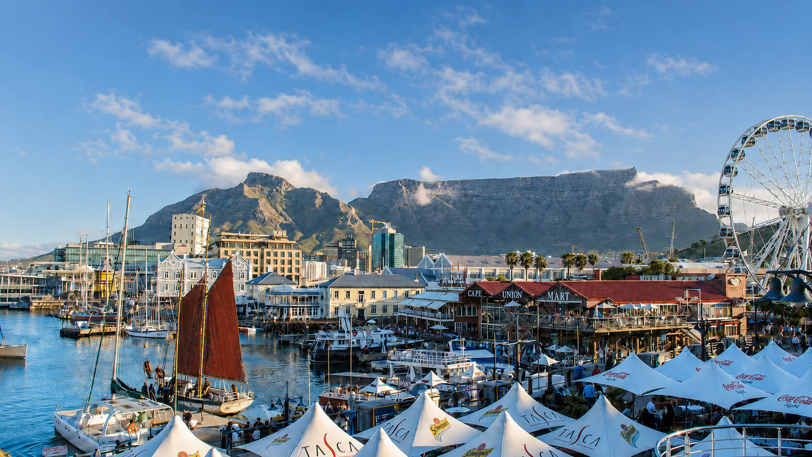 Garden Route road scenery for seasonal travel planning