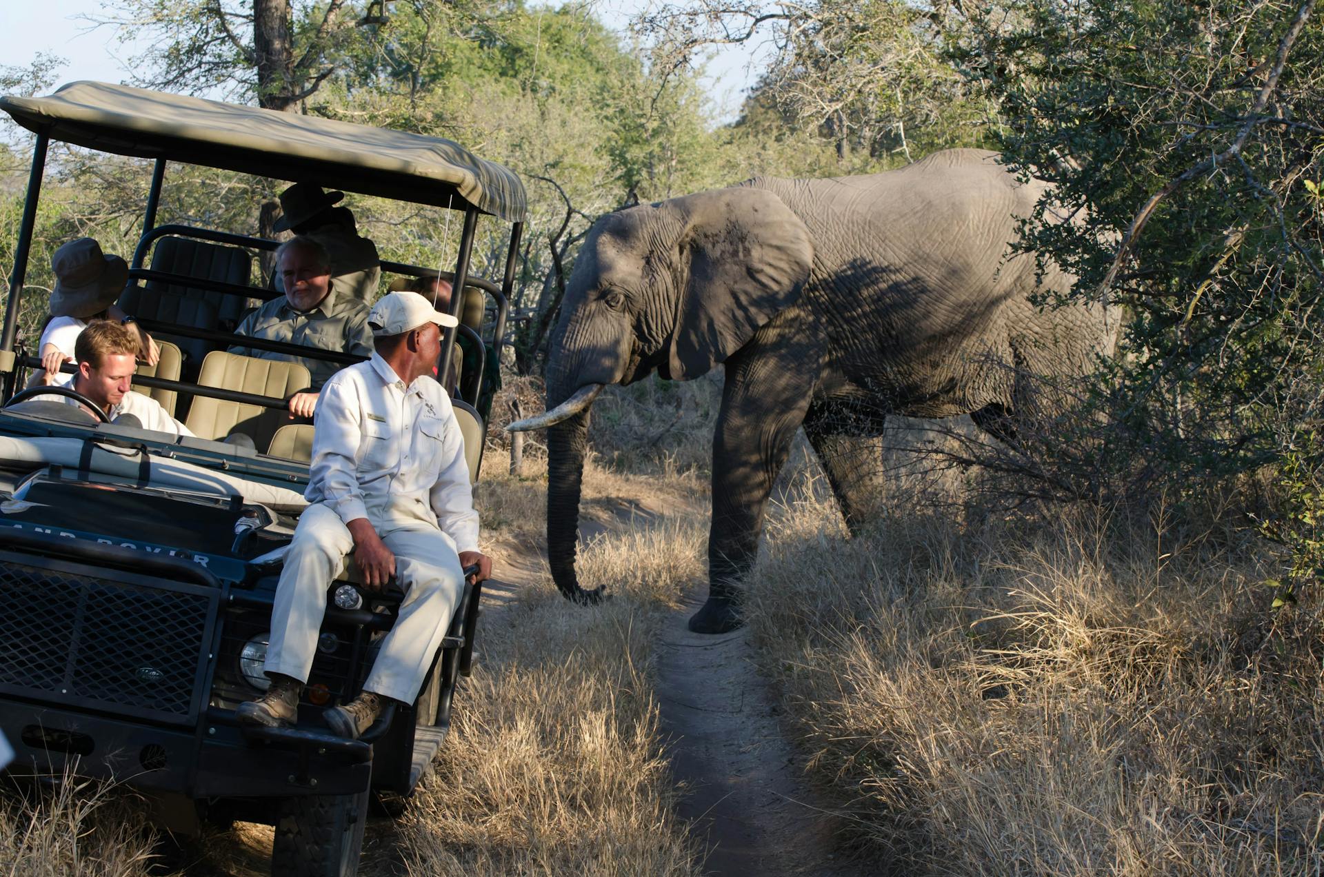 3-Day Private Kruger Safari tour