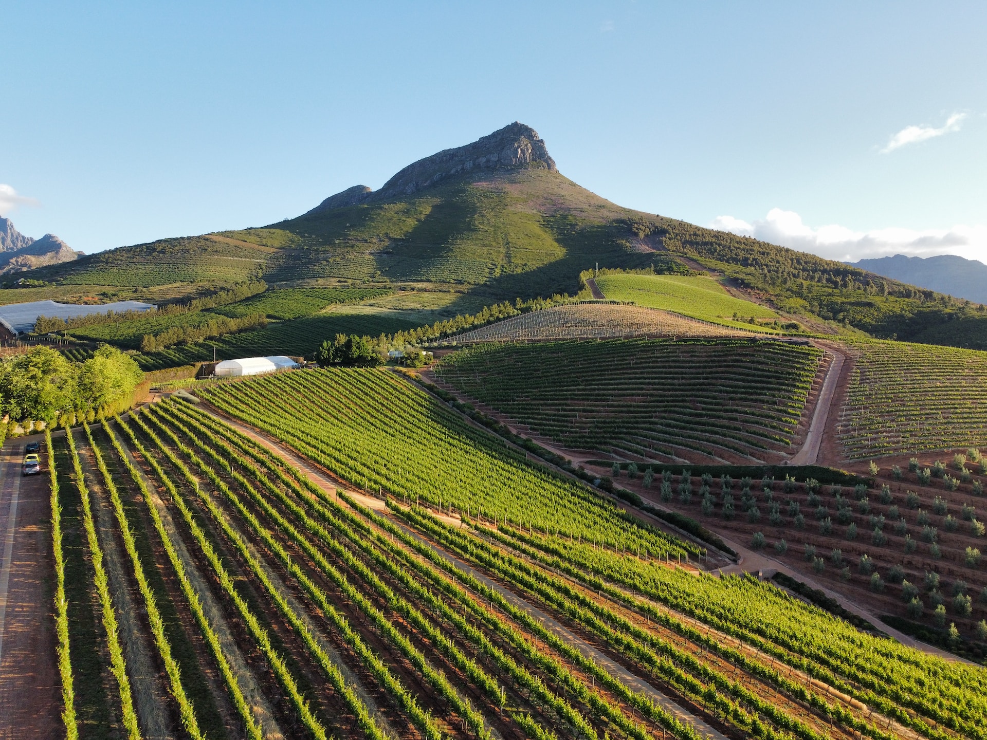 Winelands Wanderlust Escape tour
