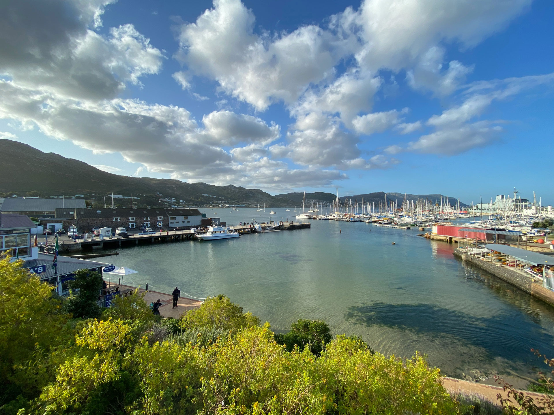 Peninsula & Penguins Adventure